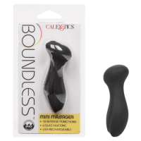 Boundless Mini Massager